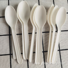 compostable biodegradable plastic cutlery CPLA spoon